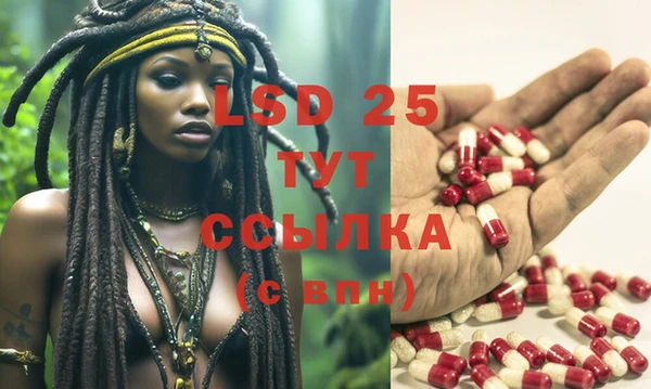 стафф Магадан