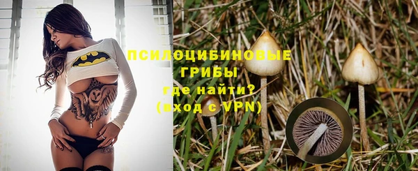 стафф Магадан