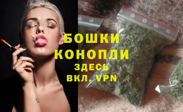стафф Магадан