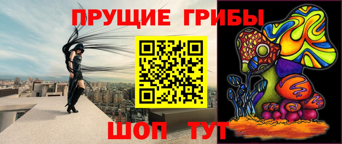 Галлюциногенные грибы GOLDEN TEACHER  Фурманов 