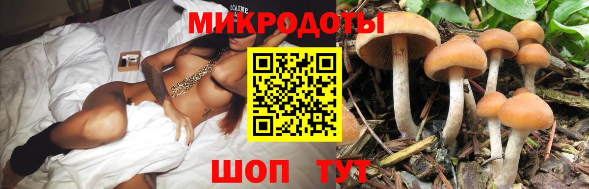 Псилоцибиновые грибы Cubensis Фурманов